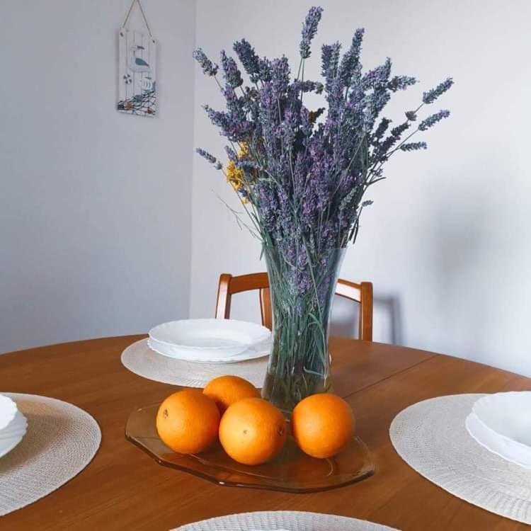 Villa Istrian House Mojca Capodistria Esterno foto