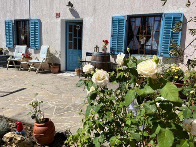Villa Istrian House Mojca Capodistria Esterno foto